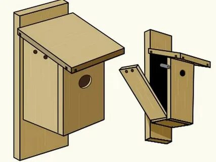 Build nesting boxes