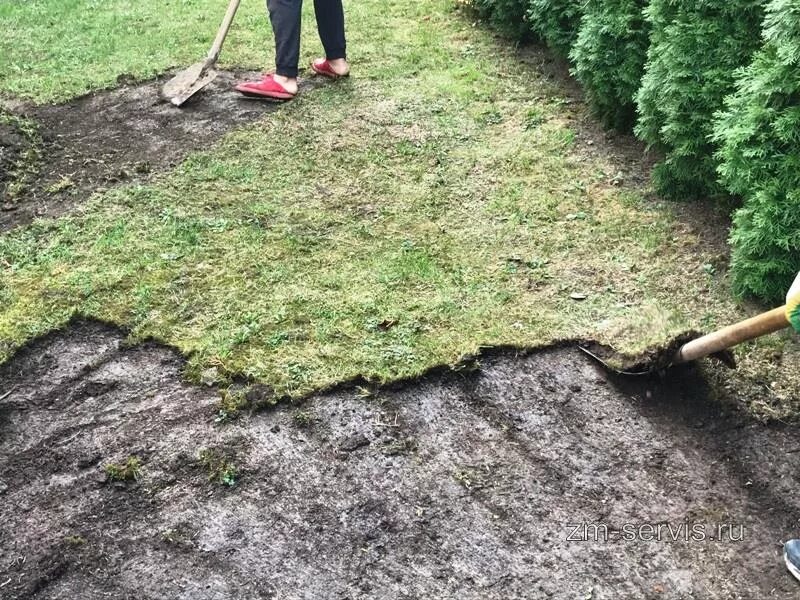 Землях добавить. Землях добавить