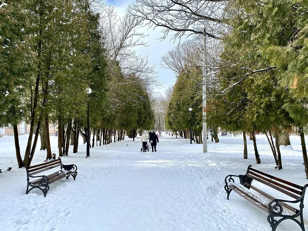 Центральный парк Щекино. Парк в Щекино Тульской области. Тульская область Щёкино Центральный парк Центральный парк. Сквер 40 летия Щекино.