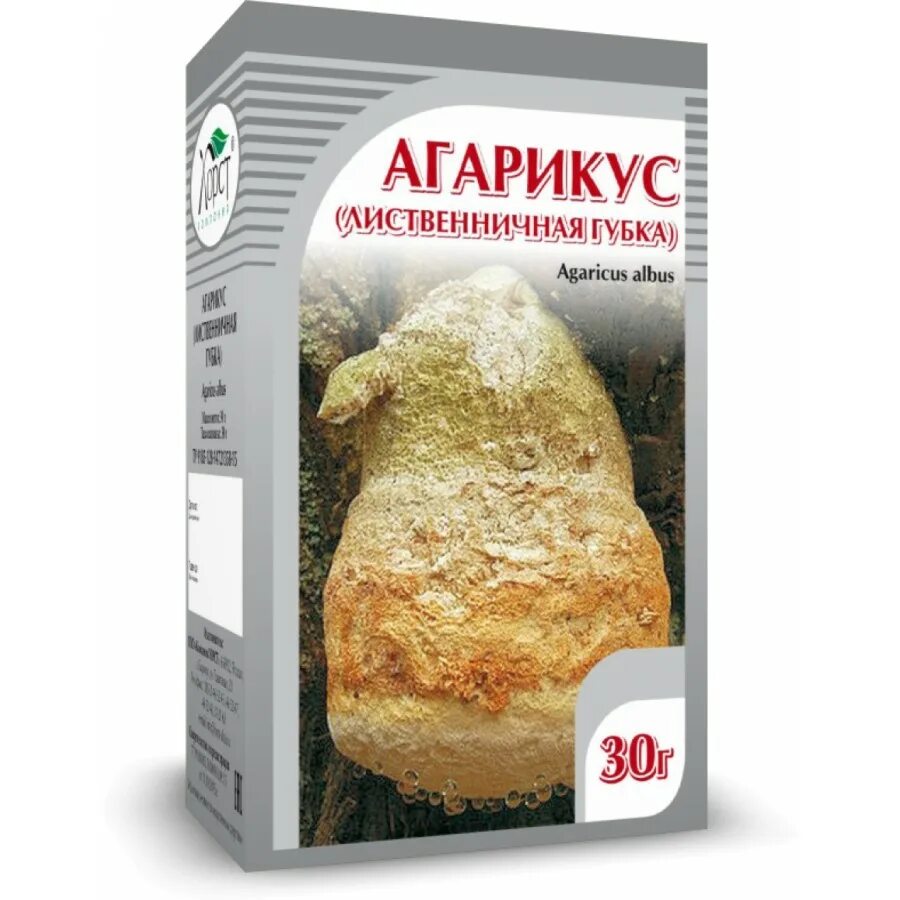 Лиственная губка агарикус. Гриб трутовик агарикус. Гриб лиственницы агарикус. Агарикус. Агарикус.