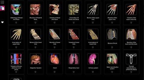 Anatomy learning 3d атлас