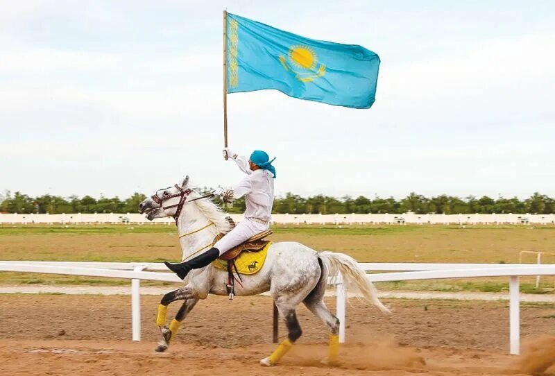 Казанат. Ипподром казанат. Кигер-мустанг спирит. Байга казахская национальная игра. Ипподром казанат.