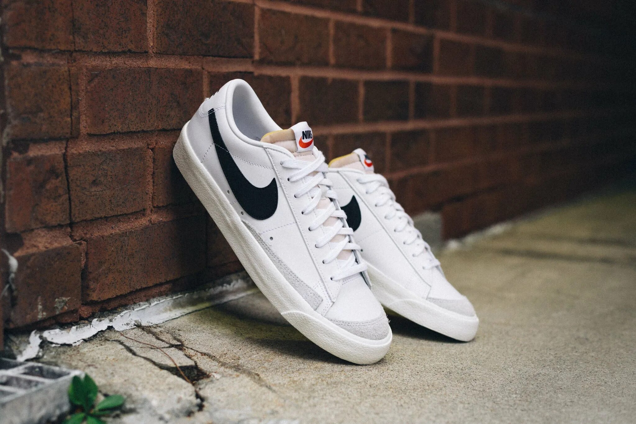 Низкие блейзеры найк. Nike Blazer Low 77. Nike Blazer Low 77 White. Nike Blazer Low 77 VNTG. Nike Blazer Low 77 Black White.