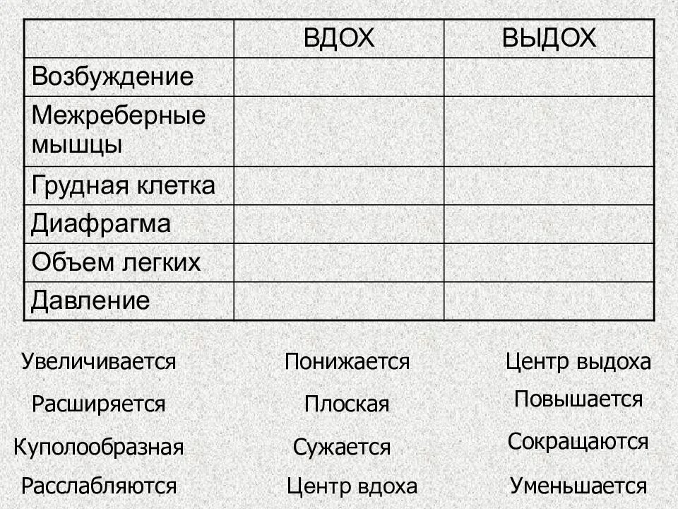 Механизм вдоха и выдоха таблица. Заполните таблицу «механизмы вдоха и выдоха».. Межреберные мышцы вдох и выдох таблица. Таблица вдох выдох по биологии. Характеристики вдоха