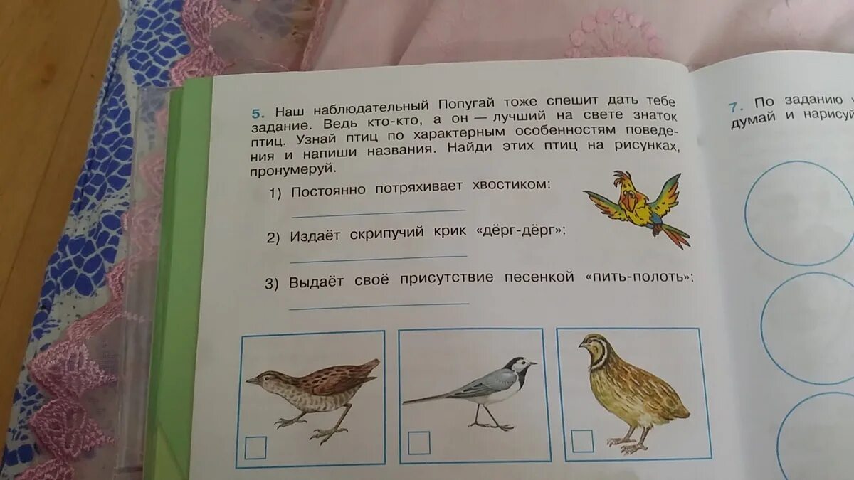 Наш наблюдательный попугай тоже спешит. Название птиц. Наш наблюдательный попугай тоже спешит. Попугай кеша возвращение блудного попугая. Наш наблюдательный попугай тоже спешит.