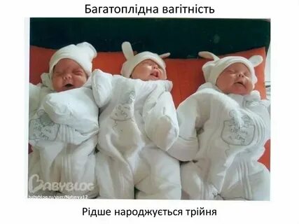 Много лет много месяцев