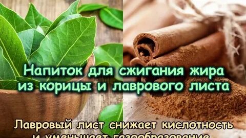 Лавровый лист худеем