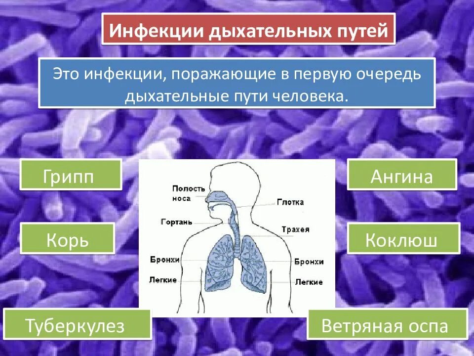 Меры профилактики заболеваний дыхательной системы. Инфекционные заболевания дыхательных путей. Инфекционные заболевания дыхательных путей список. Инфекции дыхательных путей презентация. Респираторные инфекции дыхательных путей.