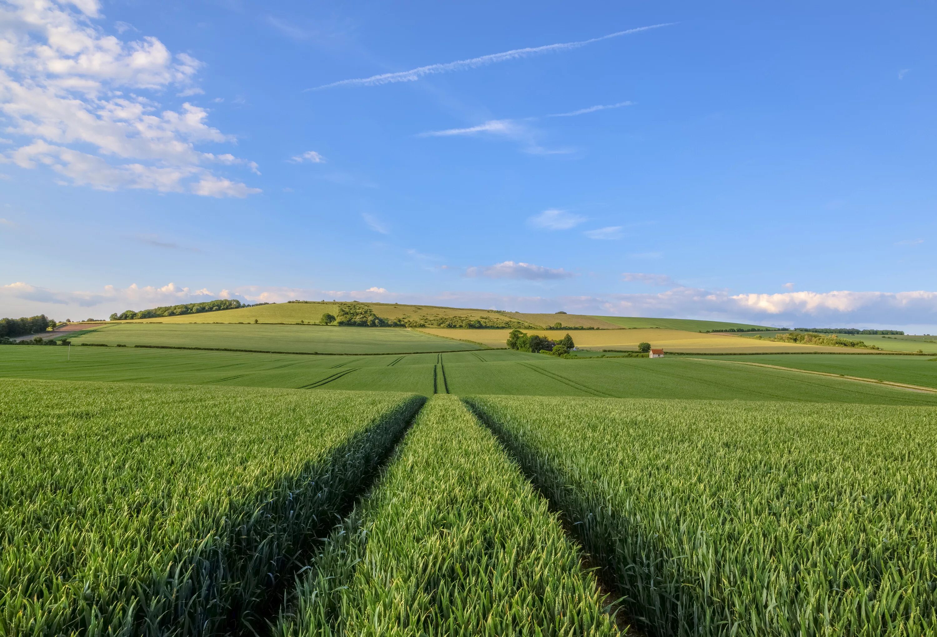 Красивое поле. Природа поле. В поле. Великобритания пахотные земли. Сайт поле.