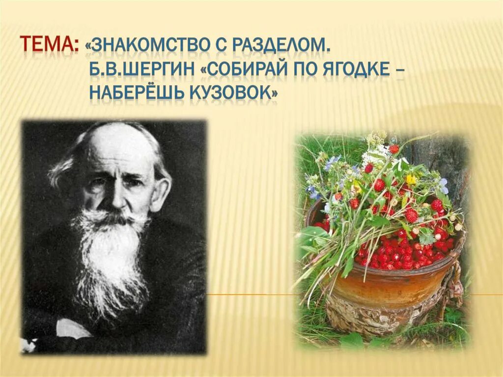 Собирай по ягодке найдешь кузовок. Шергин собирай по ягодке. Шергин собирай по ягодке наберешь кузовок рисунок.