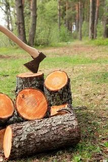 Носить дрова в лес