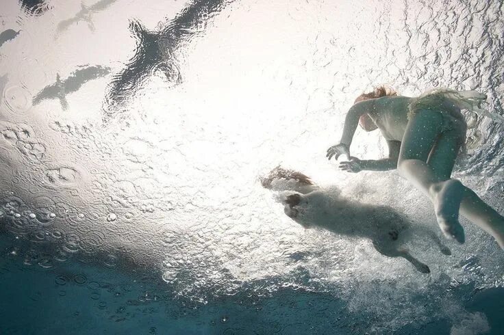 Лучшие фото под водой Фотогалерея