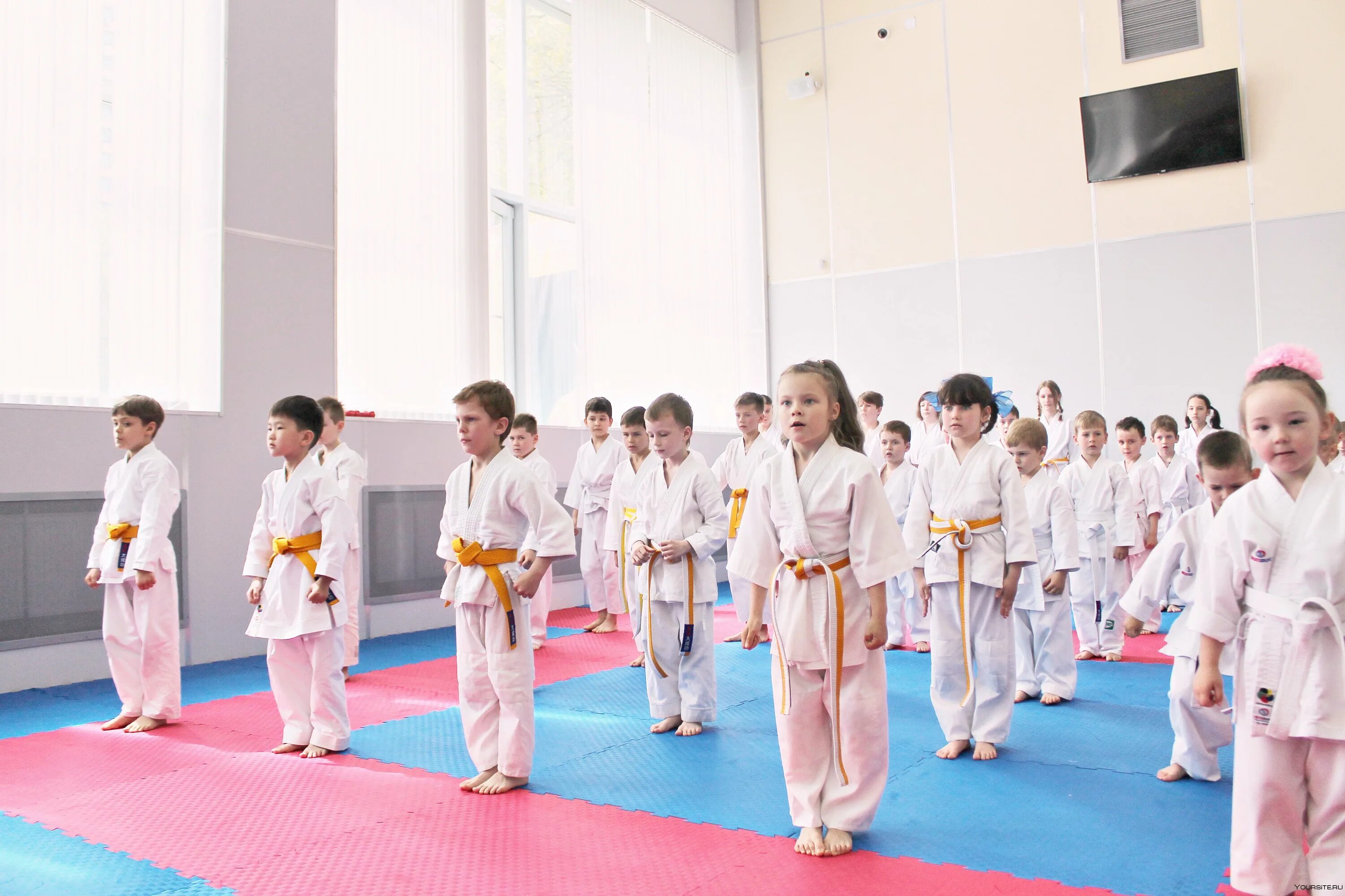 Каратэ япония тренировки. Карате бедин в. Каратэ до стиль шотокан. Класс карате. Класс карате.