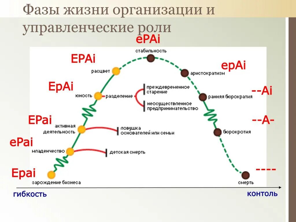 Стадии жизненного цикла компании по Адизесу. Ицхак Адизес кривая жизненного цикла. Модель жизненного цикла развития организации и. Адизеса. Кривая Адизеса жизненный цикл организаций. Какие стадии можно выделить в жизненном цикле