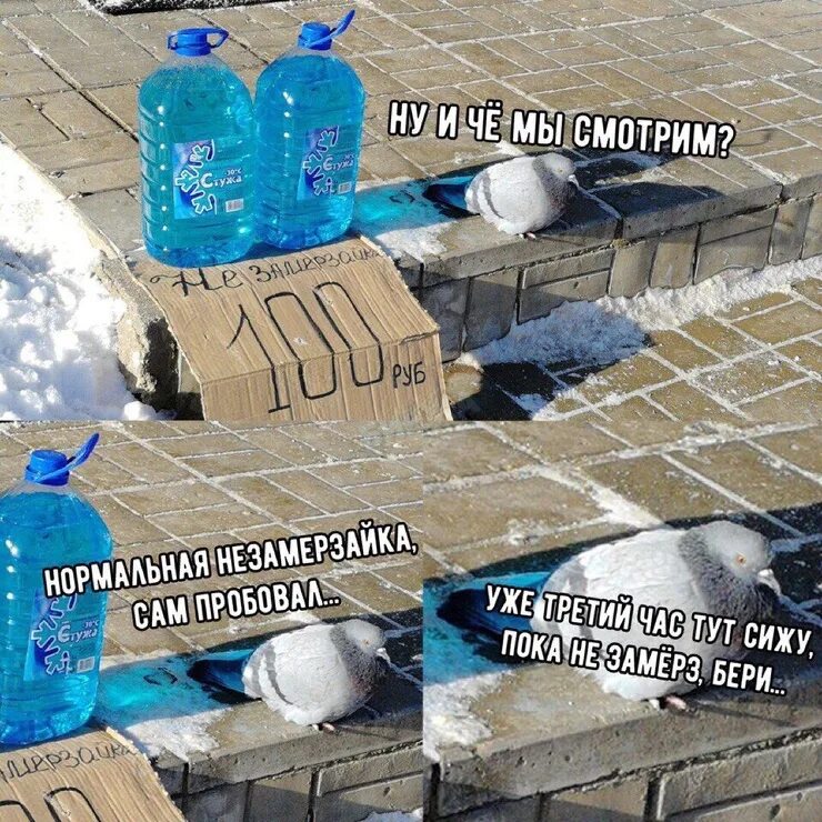 омывайка прикол. приколы про незамерзайку. омывайка прикол. приколы про незамерзайку. приколы с незамерзайкой.