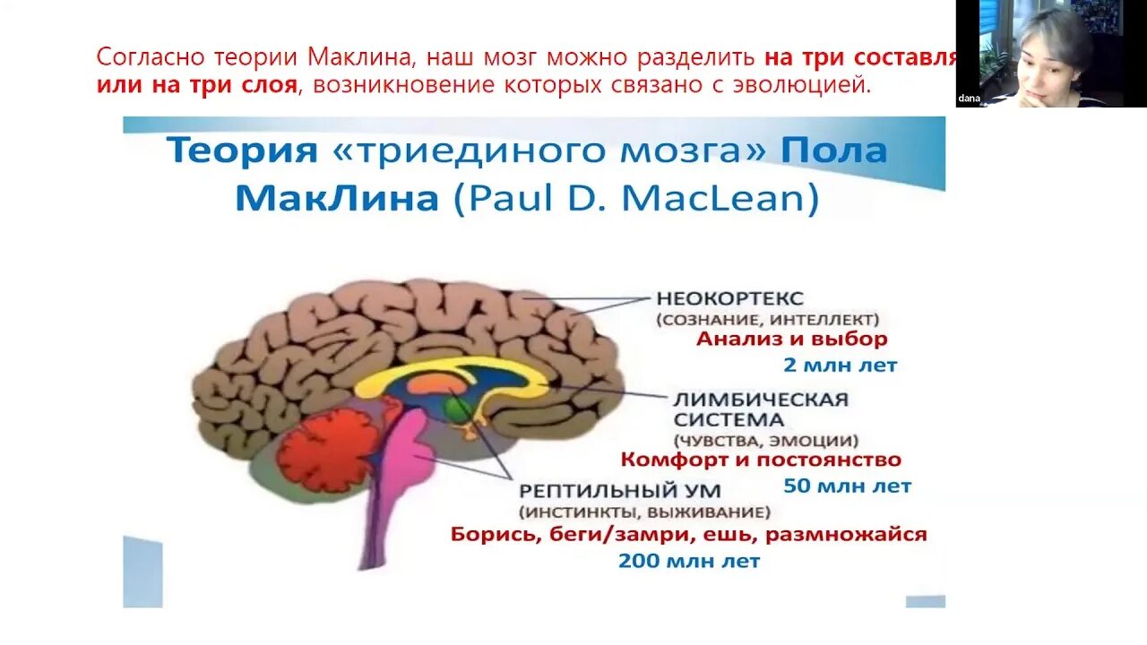 Теория Триединого мозга пола Маклина. Лимбическая система и неокортекс мозга. Рептильный мозг и неокортекс. Мозг рептильный лимбический неокортекс. Рептильный мозг неокортекс