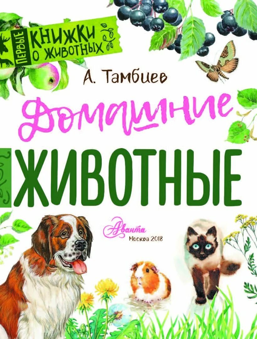 Книги о домашних животных читать. Книги о домашних животных. Книши о домашних животных. Книге одамашних жывотных. КГИ И О домашних животных.