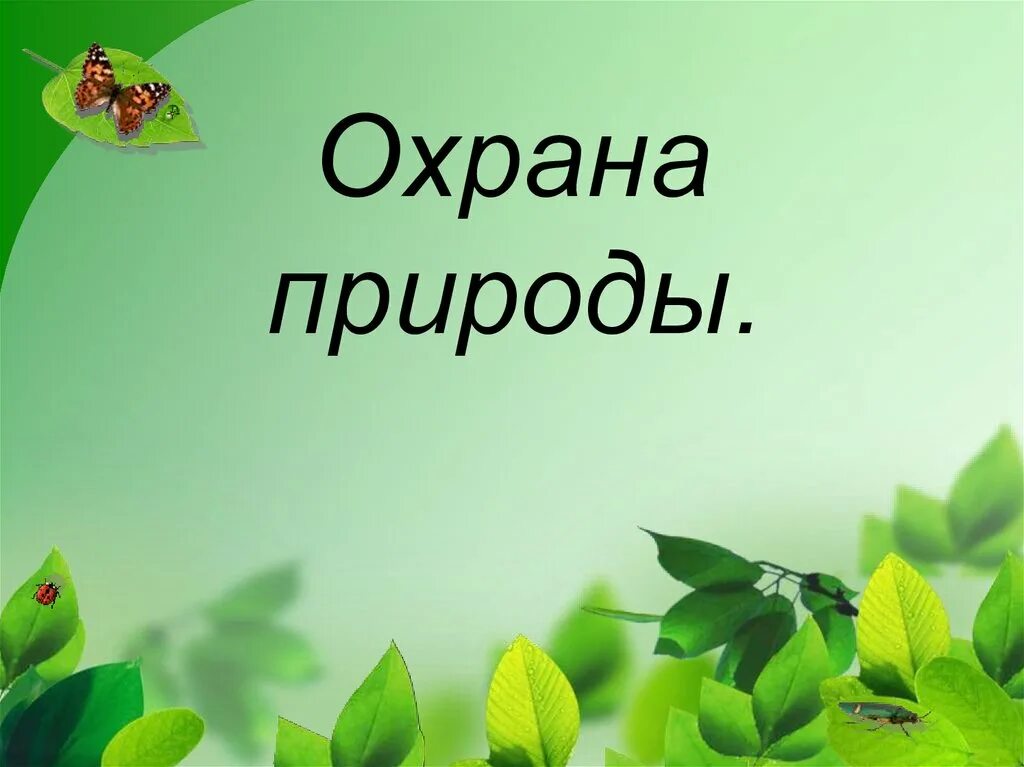 Экологический урок по биологии. Охрана природы. Проект охрана природы. Охрана природы в нашем крае. Охрана природы слайд.