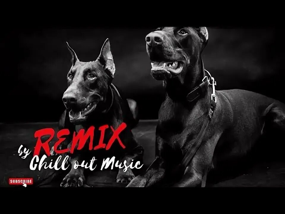 Песня доберман zatoboy. Треки с доберманами. Песня доберман. Песня доберман. Песня доберман.