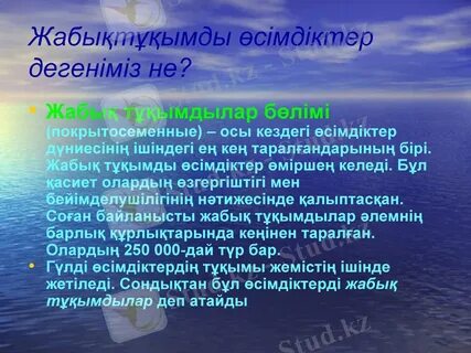 Іш киімдегі қисық әйелдердің суреттері