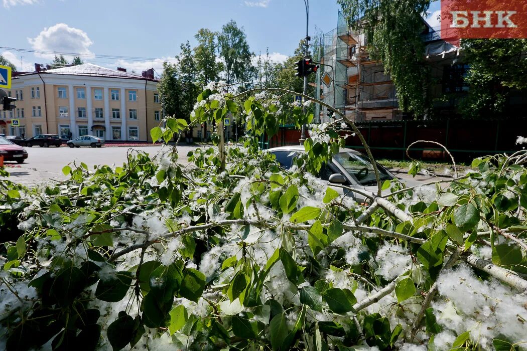 Погода в сыктывкаре цгмс на 3. Ледяной дождь. Град в Эжве. Ледяные дожди град. Град в Эжве сегодня.