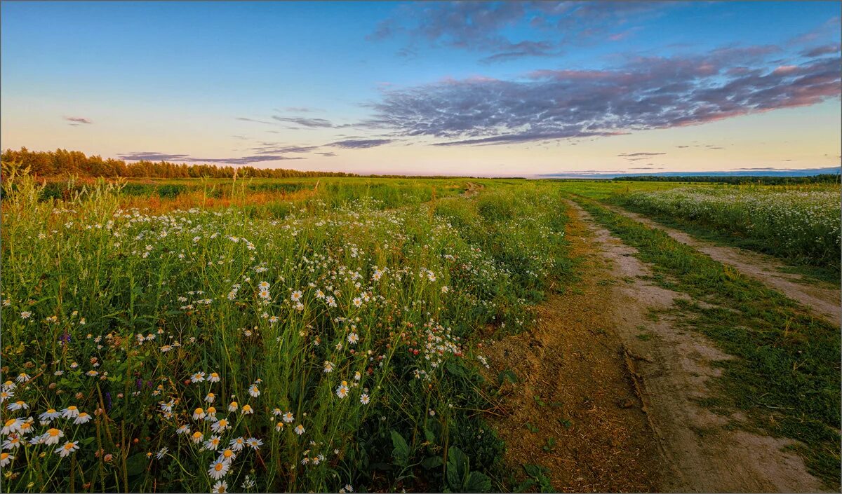 В лугах неслыханное