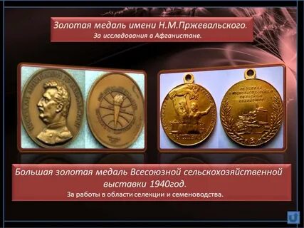 Медаль иванович
