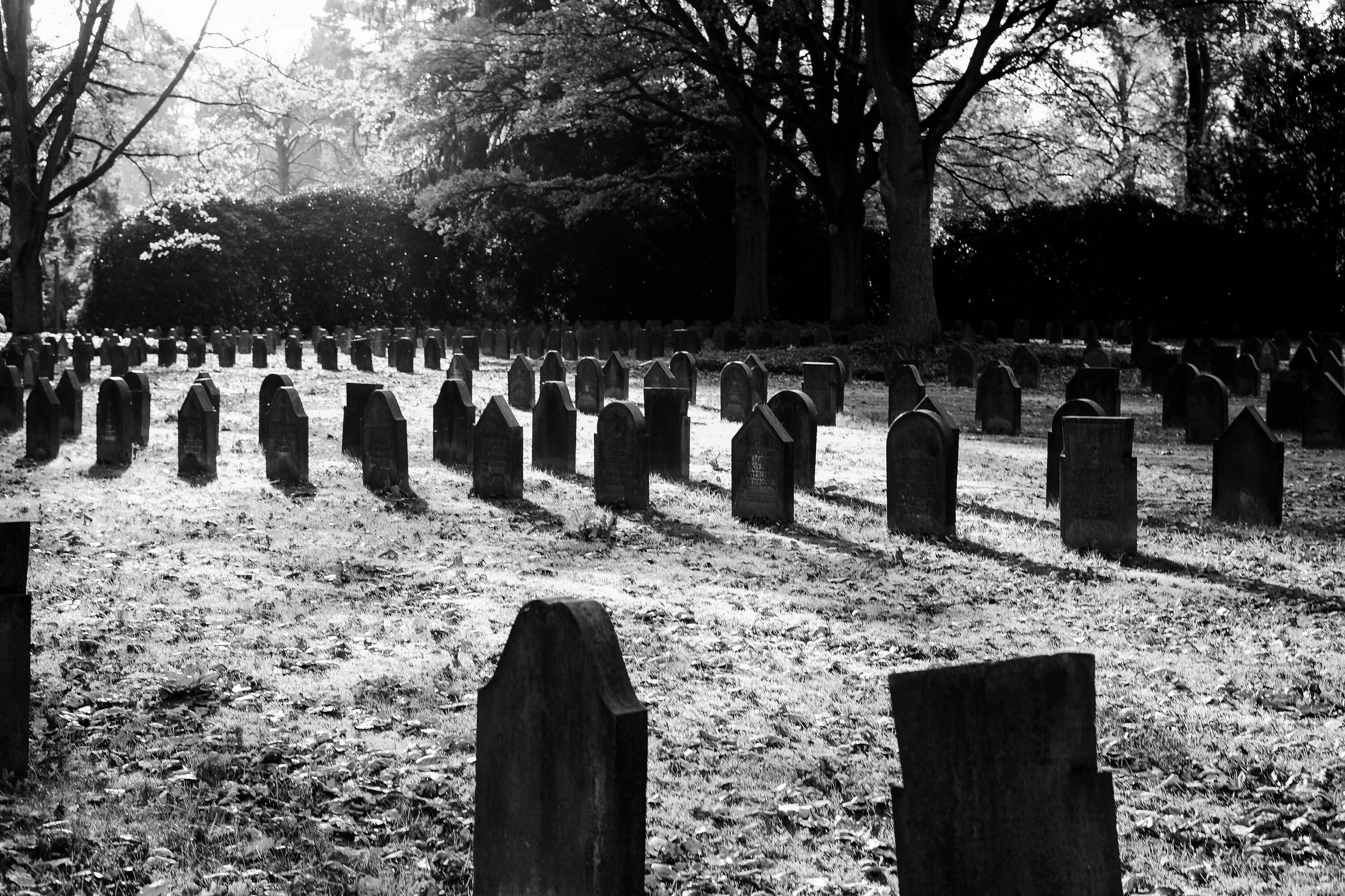 Meet you at the graveyard sovan truong. Graveyard Луи Белл. Graveyard Джон Беллион. Могила в лесу.