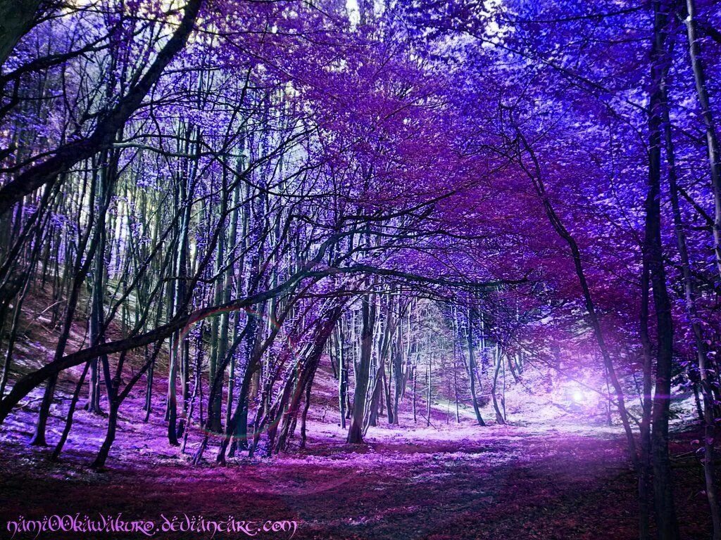 Purple ground
