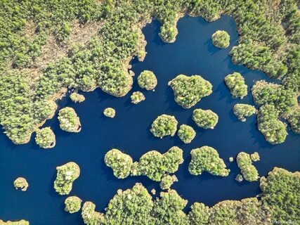Number island