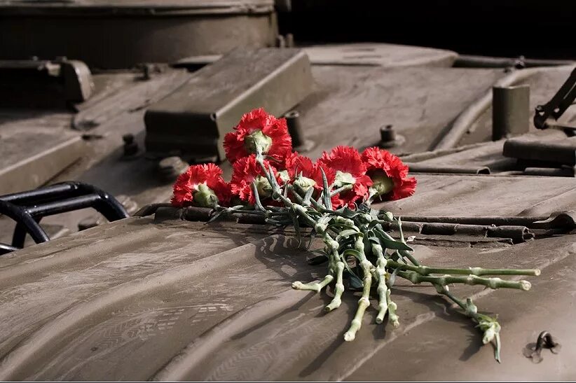 Май победа память. Цветы на 9 мая. Цветок день Победы. Память о Великой Отечественной войне. Гвоздики на памятник.