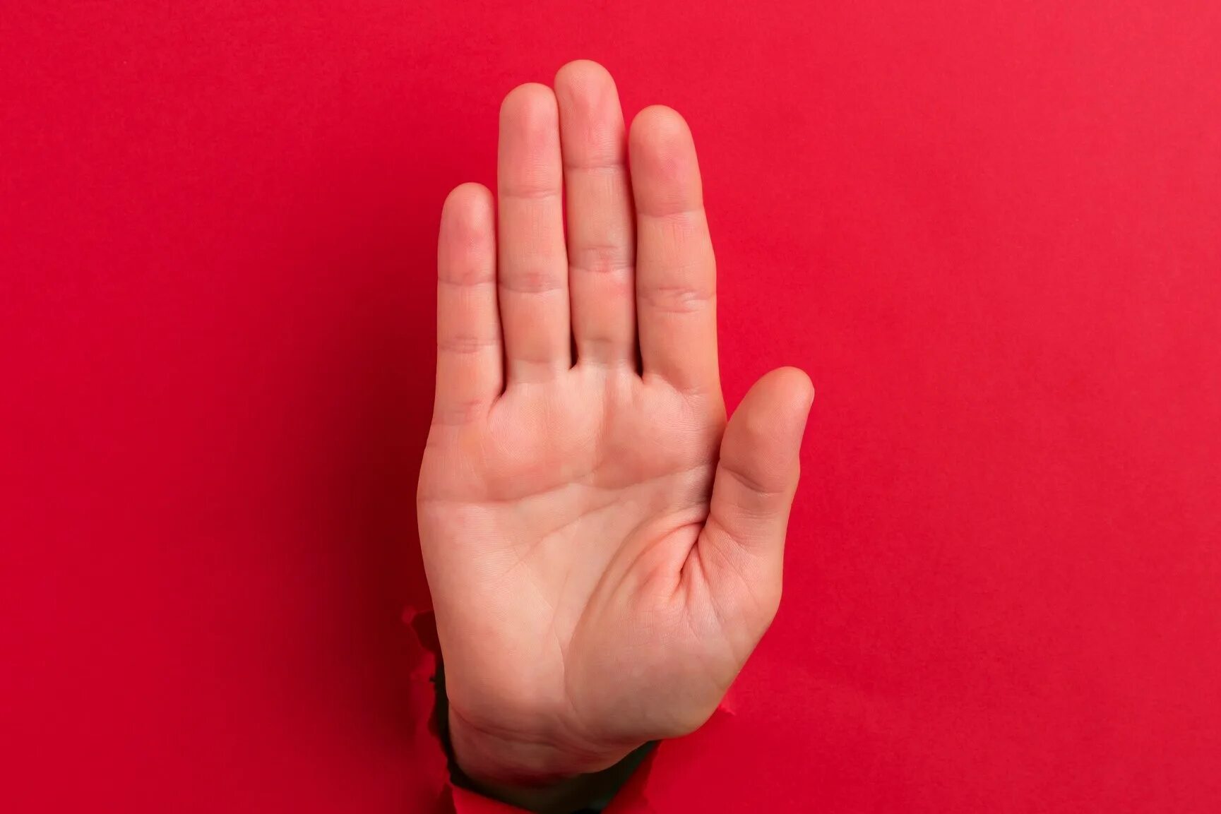 Открытая ладонь. Ладонь. Put the hand stop. Рука стоп. Жест руки стоп художественное.