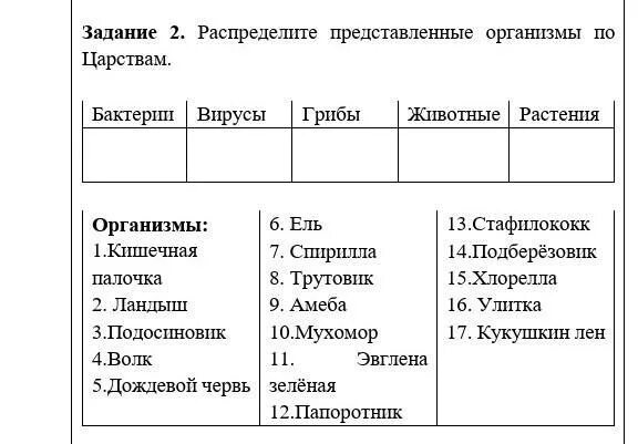 Распредели организмы по царствам. Распределите живые организмы по царствам. Распределите организмы по группам. Распределите представленные организмы по царствам. Распределите представленные изображения по соответствующим группам