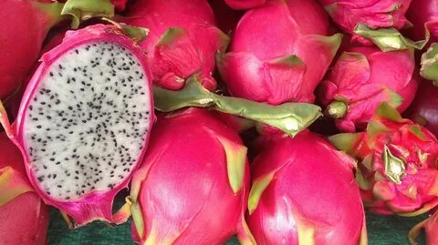 Как выглядит фрукт питахайя