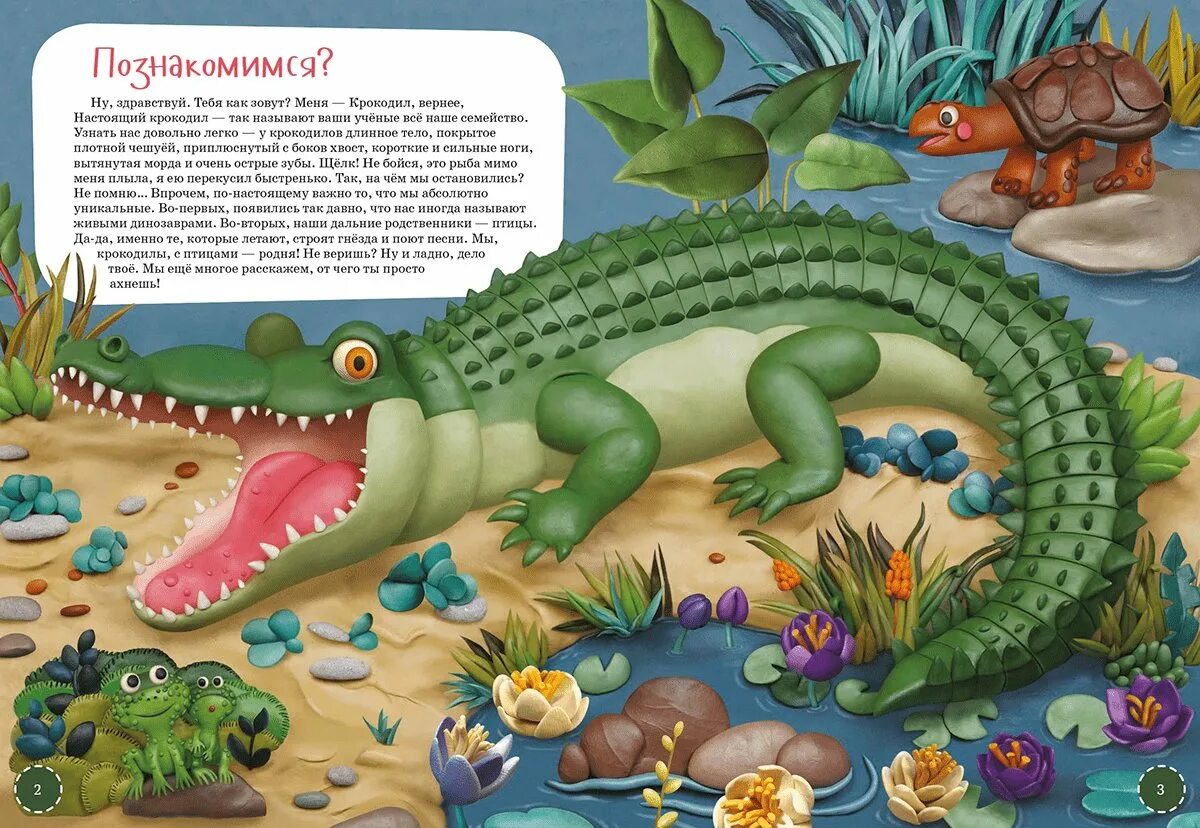 Купить крокодил про. Крокодил, Чуковский к.и.. Крокодил книга. Детские книги про крокодилов. Крокодил для детей.