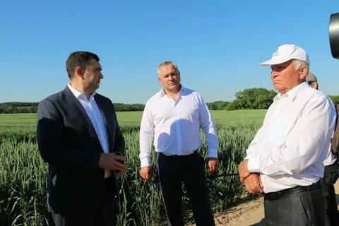 Хозяйство брянская