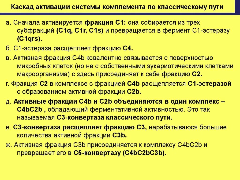 Комплемент c. Компоненты комплемента иммунология. Классический путь активации системы комплемента. Активированные компоненты комплемента. Белки системы комплемента функции.