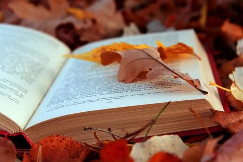 Книга город осень
