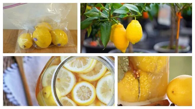 Как сохранить лимоны на длительное. Способ хранения лимона. Лайфхак для хранения лимонного сока. Хранение лимона в холодильнике. Как хранить лимон в холодильнике.