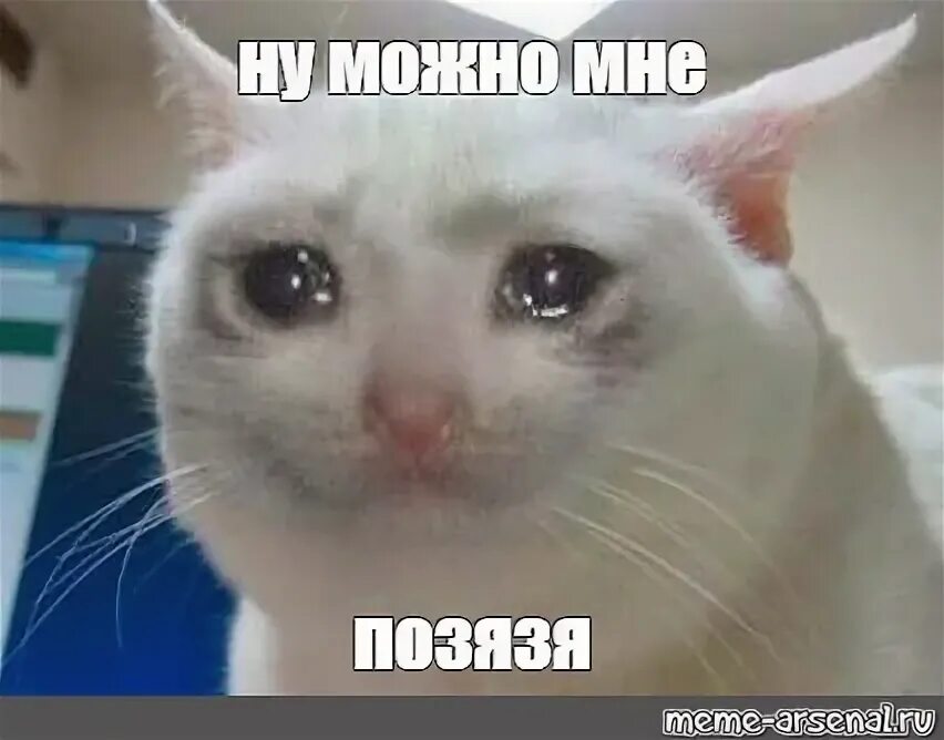 Здравствуйте прикол. Просто так мем. Угомони свои таланты. Ну можно узнать. Ну можно узнать.