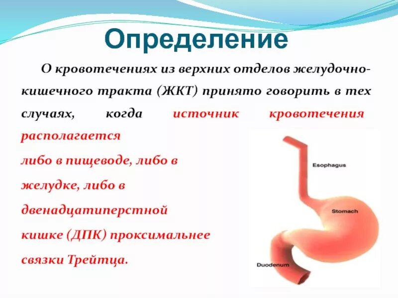 Кровотечение болит живот. Методы исследования при ЖКТ кровотечении. При кровотечении из верхних отделов ЖКТ. Причины кровотечения верхних отделов ЖКТ. Признаки кровотечений из верхних отделов ЖКТ.