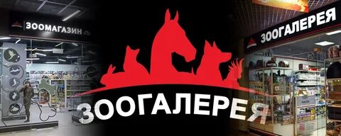 Зоогалерея интернет магазин