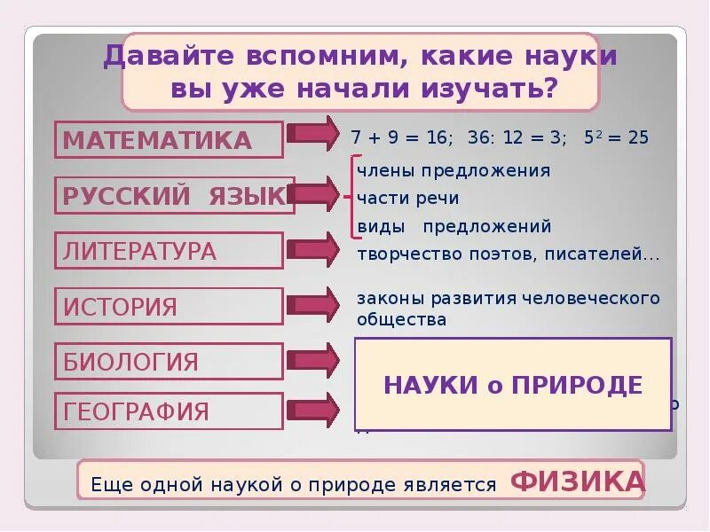 Какая наука изучает труд. Какие науки вы знаете. Какие науки изучает физика. Какие науки изучает физика 7 класс. Какие Естественные науки вы знаете физика.