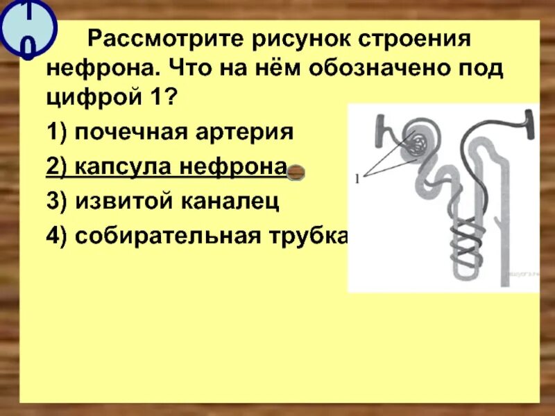 Рассматривал под цифрой 2