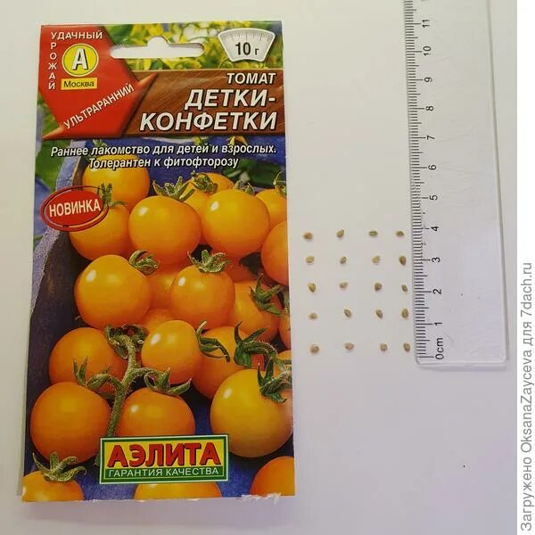 Томат монеточка. Томат конфетка. Чудо детки томат черри. Томат детки конфетки. Детки у помидоров.