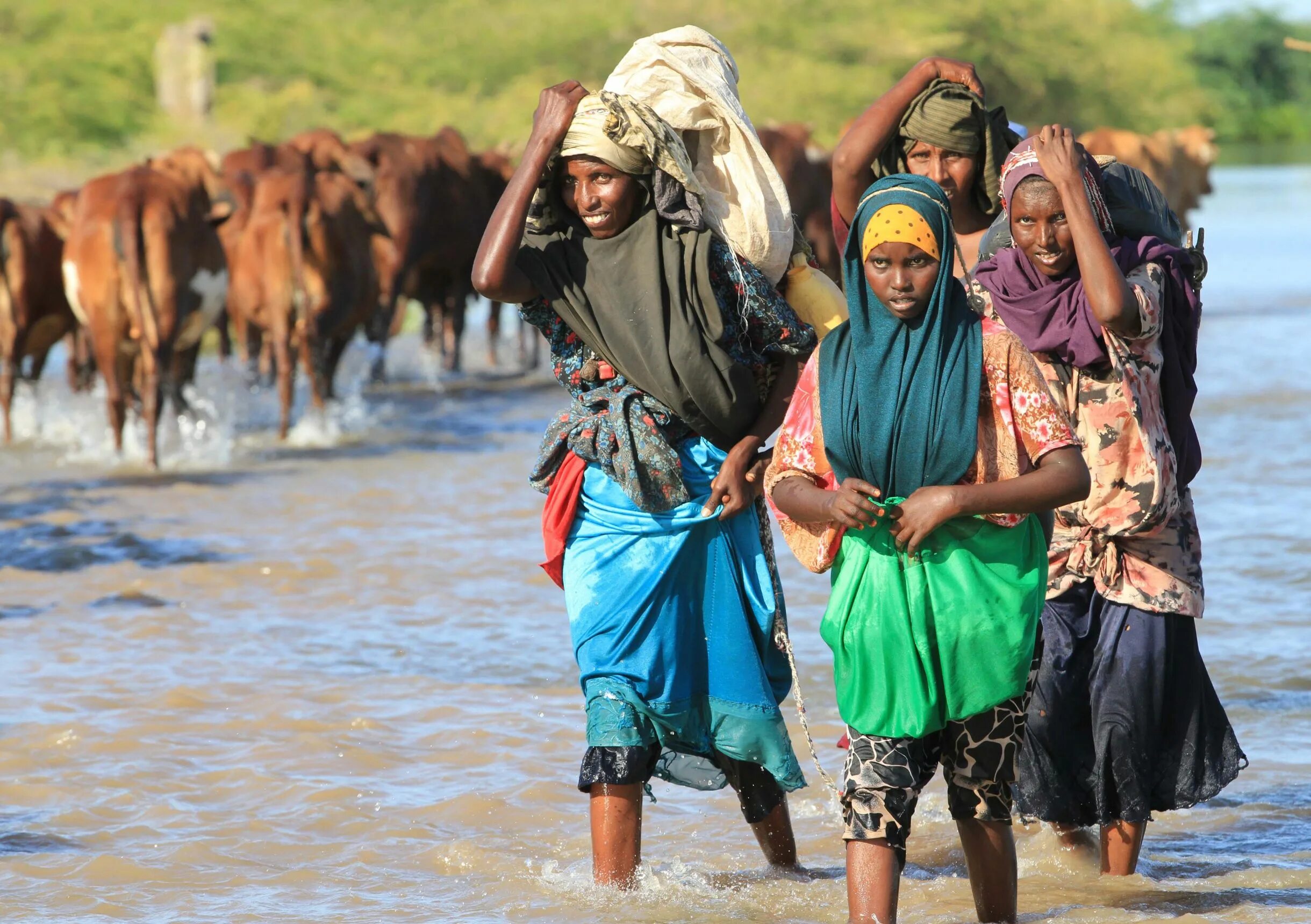 Численность населения сомали. Население сомали. Сомали население. Сомалийцы народ африки. Сомалийцы народ африки.