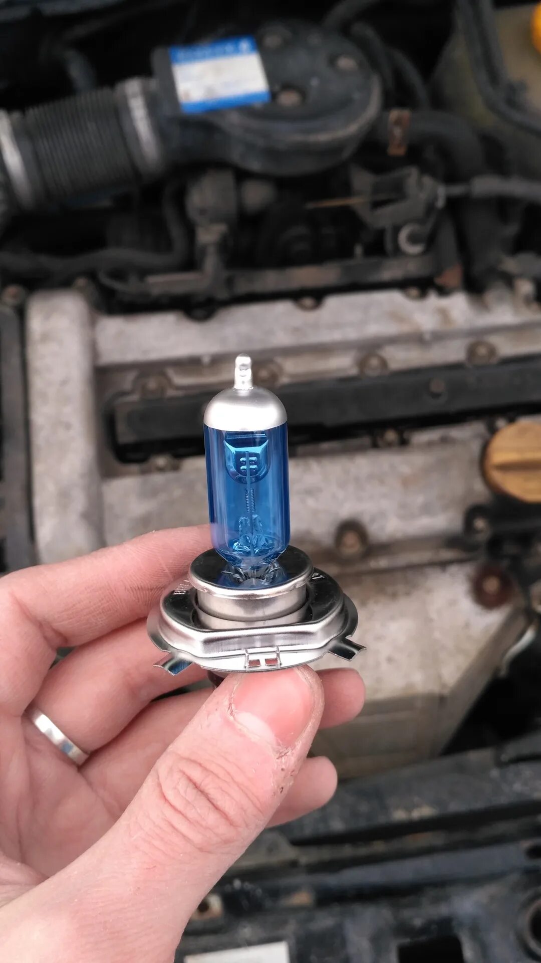Зафира лампа ближнего света. Цоколь лампы ближнего света opel corsa c 2008. opel corsa лампа ближнего света. цоколь ближнего света opel zafira b 2012. цоколь ближнего света опель корса 2008.