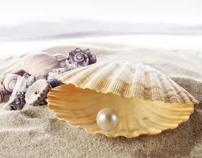 Shell pearl