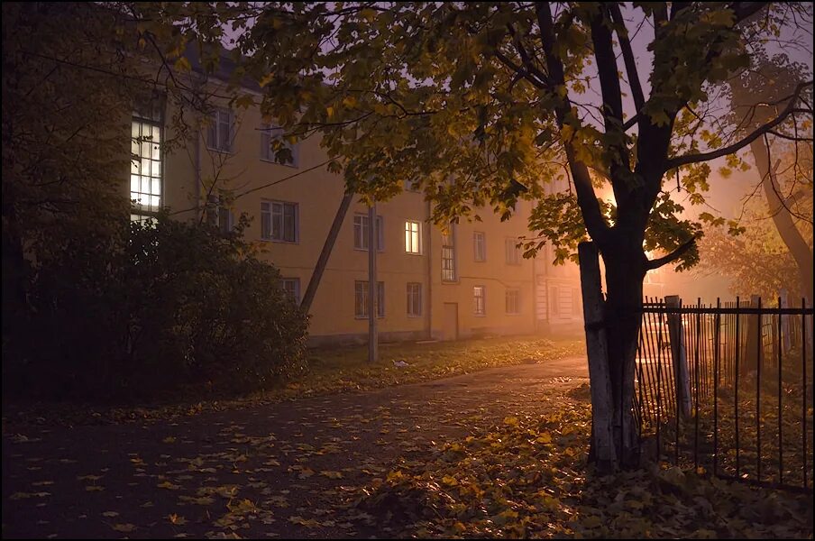 Темным осенним вечером. Осенний двор. Осеннее утро в городе. Раннее осеннее утро в городе. Осенний туман в городе.