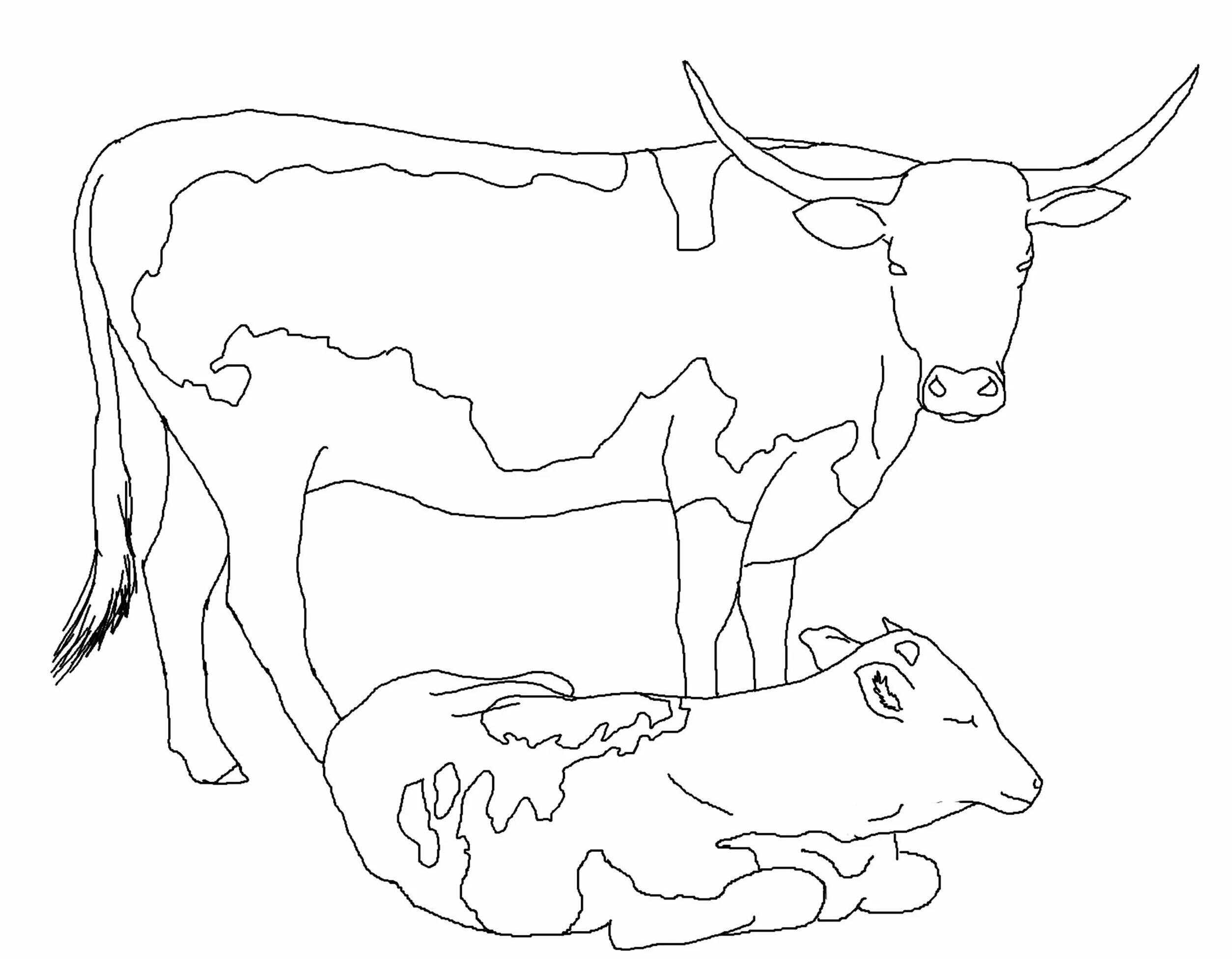 Раскраски для детей 3 года коровы. Раскраска корова. Корова раскраска для детей. Раскраска корова с теленком. Теленок раскраска для детей.